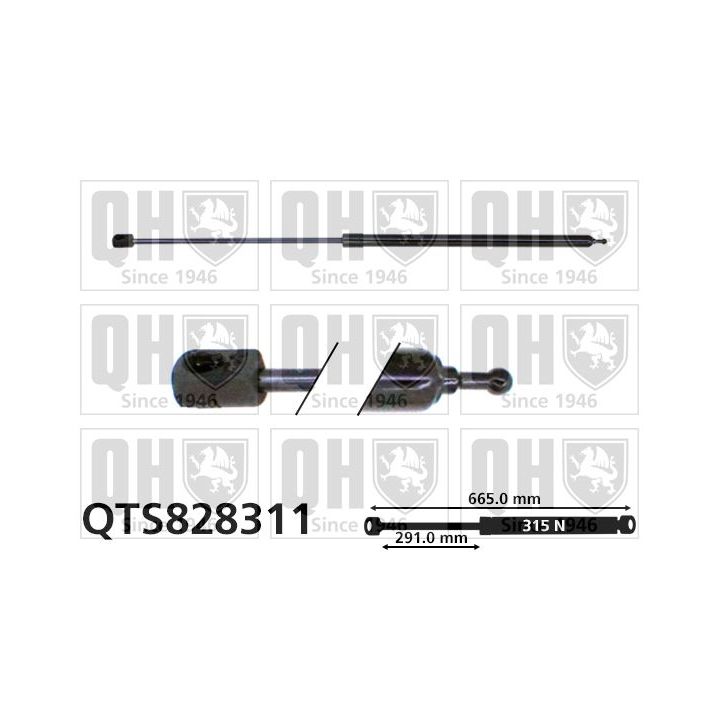 Dujinė spyruoklė, gaubtas QUINTON HAZELL QTS828311