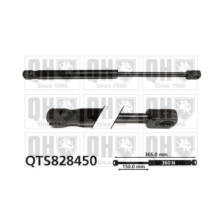 Dujinė spyruoklė, gaubtas QUINTON HAZELL QTS828450