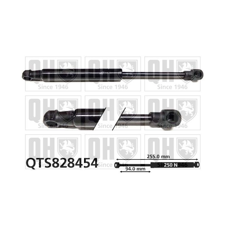 Dujinė spyruoklė, gaubtas QUINTON HAZELL QTS828454