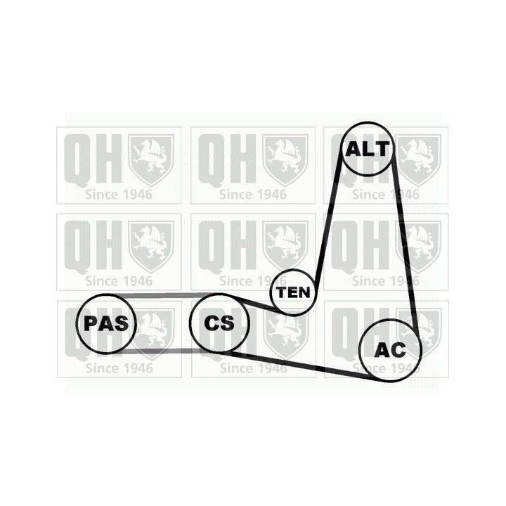 V formos rumbuotas diržas, komplektas QUINTON HAZELL QDK1