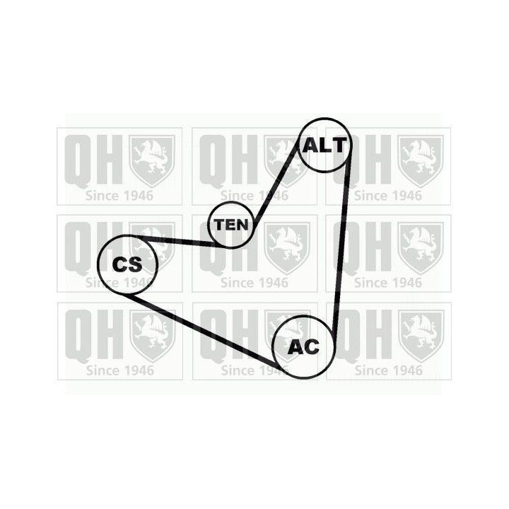 V formos rumbuotas diržas, komplektas QUINTON HAZELL QDK11