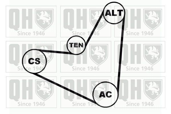 V formos rumbuotas diržas, komplektas QUINTON HAZELL QDK11
