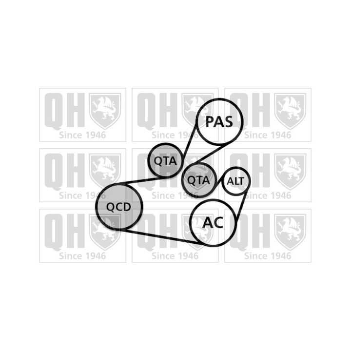 V formos rumbuotas diržas, komplektas QUINTON HAZELL QDK110