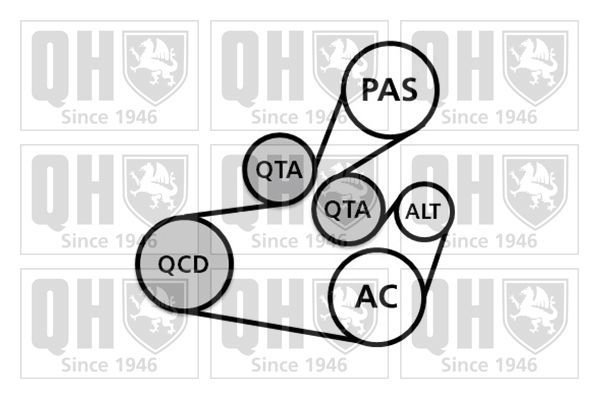 V formos rumbuotas diržas, komplektas QUINTON HAZELL QDK110