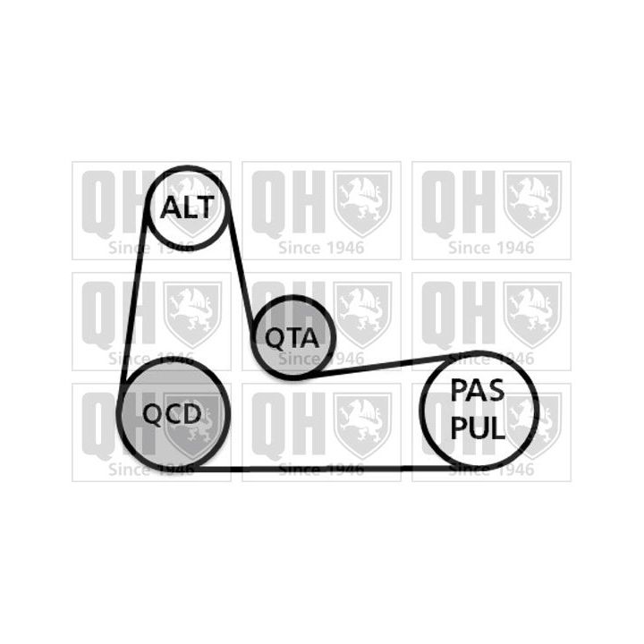 V formos rumbuotas diržas, komplektas QUINTON HAZELL QDK116