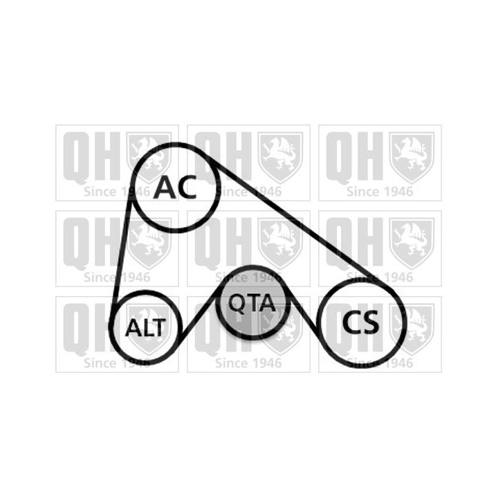 V formos rumbuotas diržas, komplektas QUINTON HAZELL QDK127