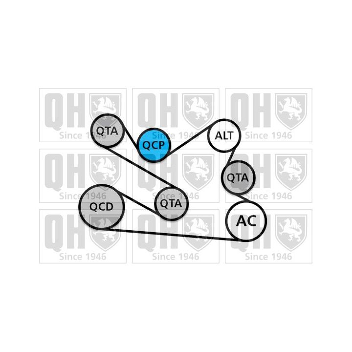 V formos rumbuotas diržas, komplektas QUINTON HAZELL QDK136