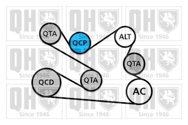 V formos rumbuotas diržas, komplektas QUINTON HAZELL QDK136
