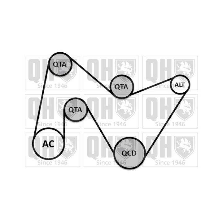 V formos rumbuotas diržas, komplektas QUINTON HAZELL QDK147
