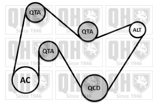 V formos rumbuotas diržas, komplektas QUINTON HAZELL QDK147