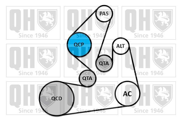 V formos rumbuotas diržas, komplektas QUINTON HAZELL QDK165