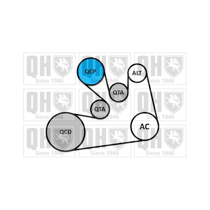 V formos rumbuotas diržas, komplektas QUINTON HAZELL QDK185