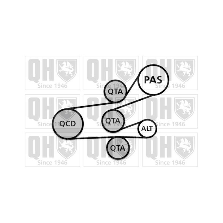 V formos rumbuotas diržas, komplektas QUINTON HAZELL QDK26