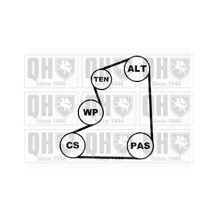 V formos rumbuotas diržas, komplektas QUINTON HAZELL QDK28