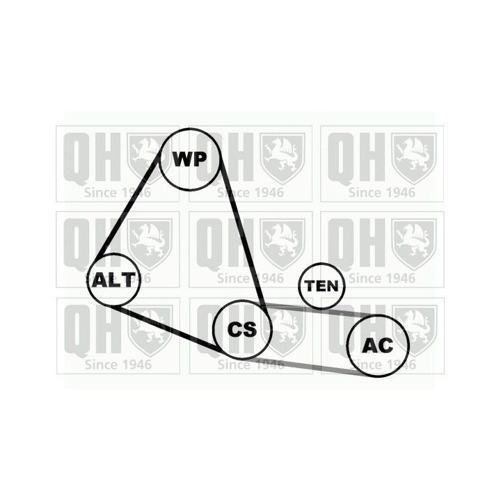 V formos rumbuotas diržas, komplektas QUINTON HAZELL QDK29