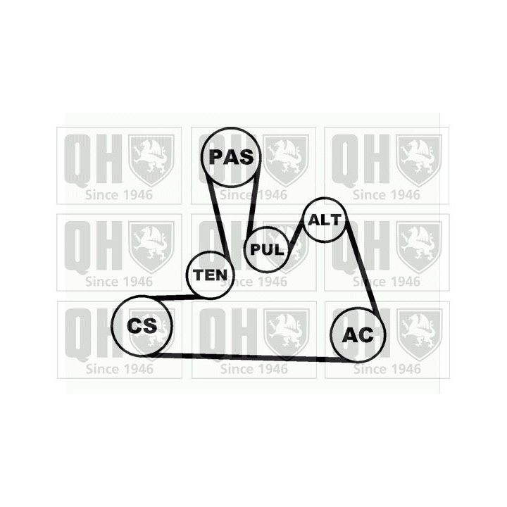 V formos rumbuotas diržas, komplektas QUINTON HAZELL QDK31