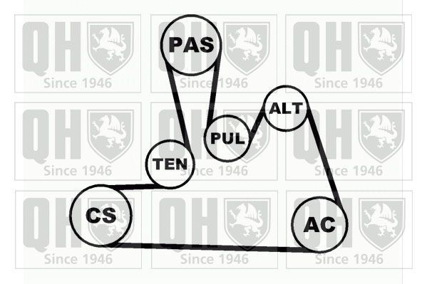 V formos rumbuotas diržas, komplektas QUINTON HAZELL QDK31