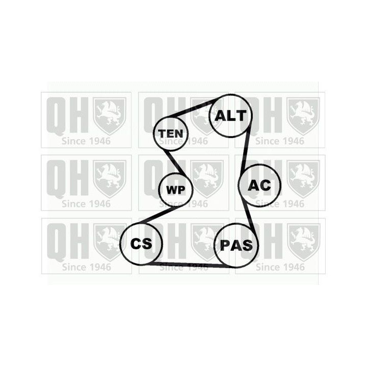 V formos rumbuotas diržas, komplektas QUINTON HAZELL QDK31