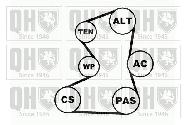 V formos rumbuotas diržas, komplektas QUINTON HAZELL QDK31