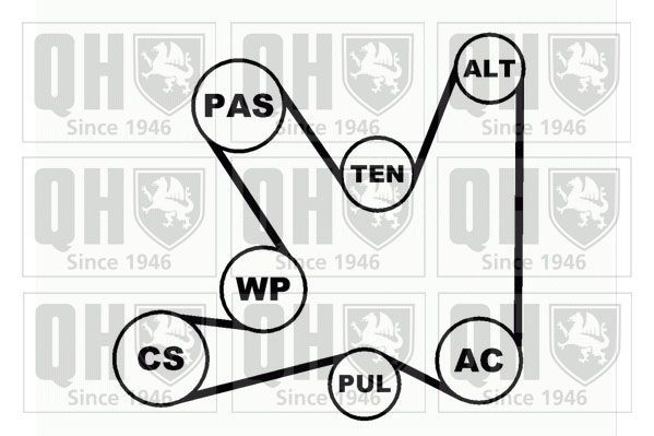 V formos rumbuotas diržas, komplektas QUINTON HAZELL QDK32