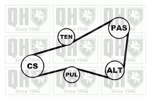 V formos rumbuotas diržas, komplektas QUINTON HAZELL QDK33
