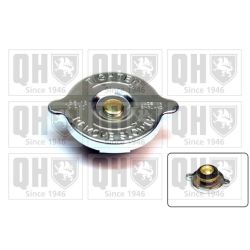 Radiatoriaus dangtelis QUINTON HAZELL FC55