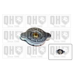 Radiatoriaus dangtelis QUINTON HAZELL FC554