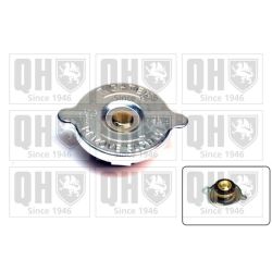 Radiatoriaus dangtelis QUINTON HAZELL FC63