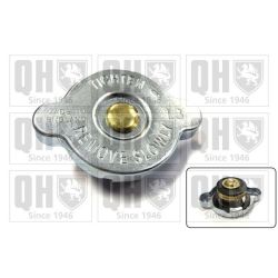 Radiatoriaus dangtelis QUINTON HAZELL FC69