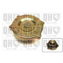 Radiatoriaus dangtelis QUINTON HAZELL FC73