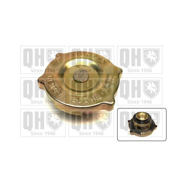 Radiatoriaus dangtelis QUINTON HAZELL FC73