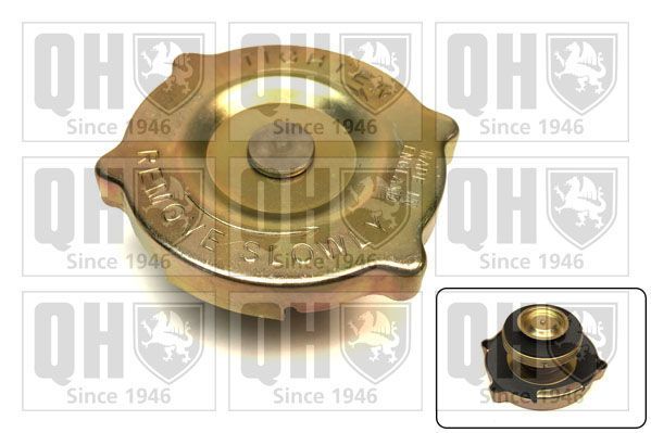 Radiatoriaus dangtelis QUINTON HAZELL FC73