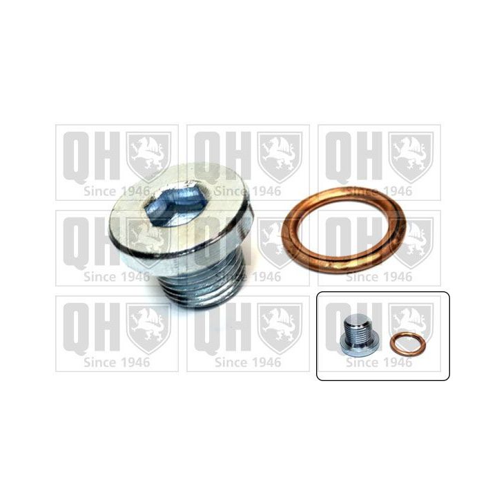 Alyvos išleidimo kaištis, alyvos karteris QUINTON HAZELL QOC1001