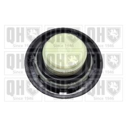 Dangtelis, alyvos pildymo anga QUINTON HAZELL FC583