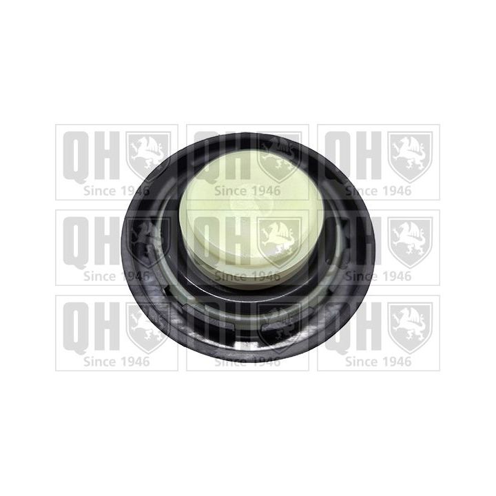 Dangtelis, alyvos pildymo anga QUINTON HAZELL FC583