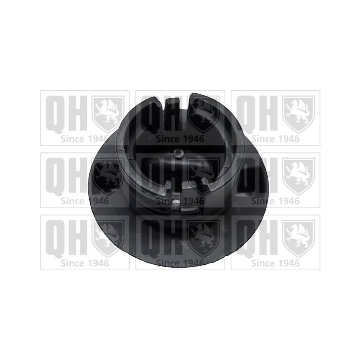 Dangtelis, alyvos pildymo anga QUINTON HAZELL FC584