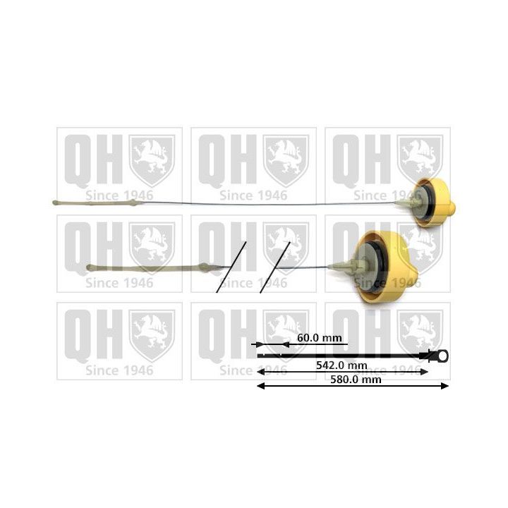 Alyvos lygio matuoklis QUINTON HAZELL QOD117