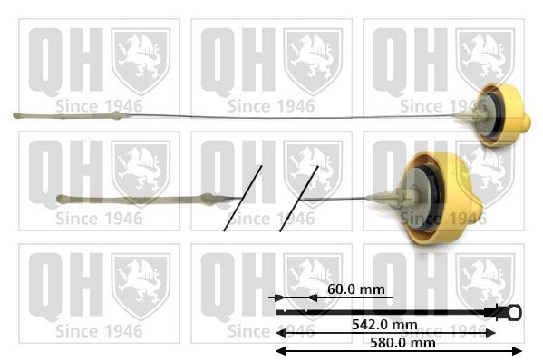 Alyvos lygio matuoklis QUINTON HAZELL QOD117