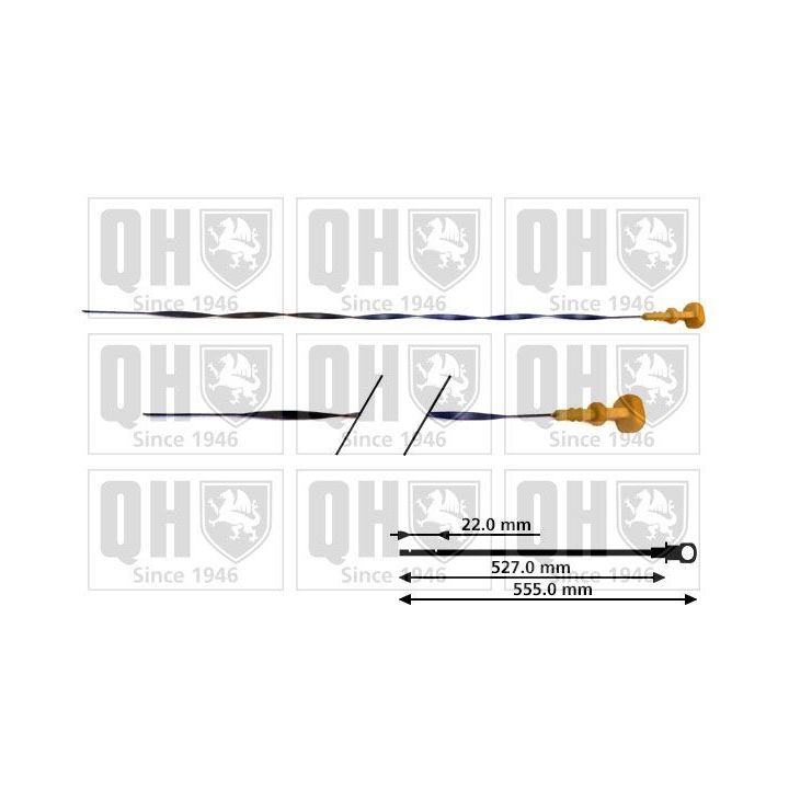 Alyvos lygio matuoklis QUINTON HAZELL QOD119