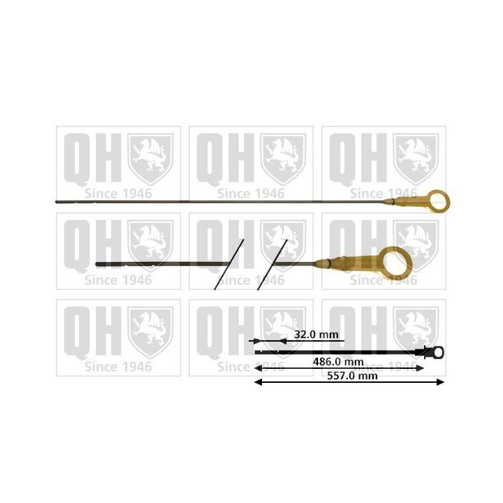 Alyvos lygio matuoklis QUINTON HAZELL QOD121