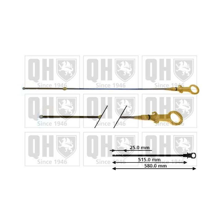 Alyvos lygio matuoklis QUINTON HAZELL QOD130