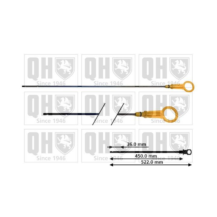 Alyvos lygio matuoklis QUINTON HAZELL QOD131