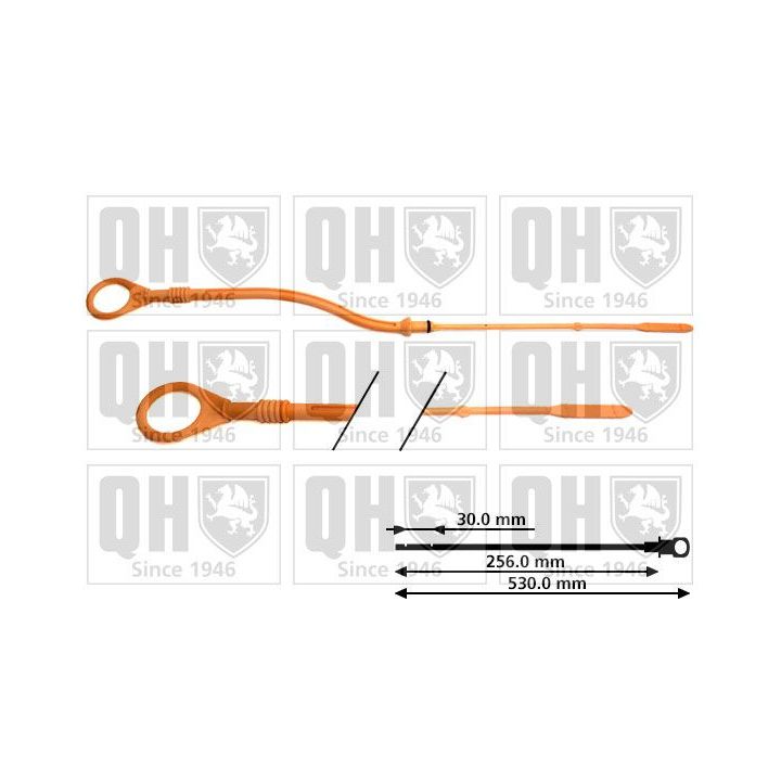 Alyvos lygio matuoklis QUINTON HAZELL QOD144