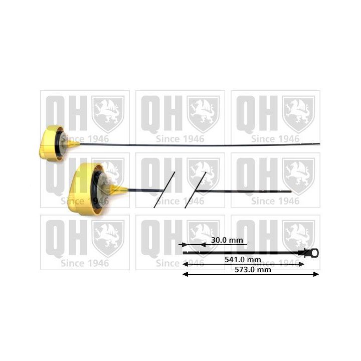 Alyvos lygio matuoklis QUINTON HAZELL QOD146