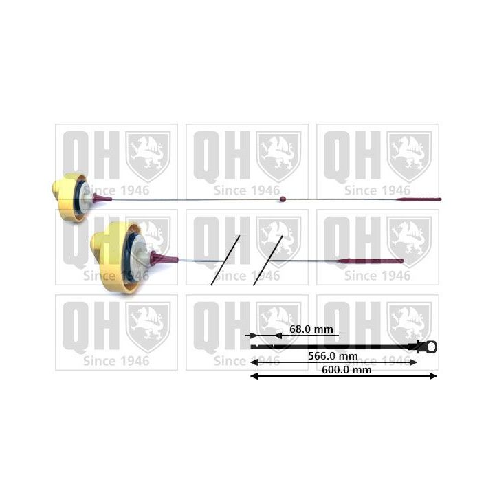 Alyvos lygio matuoklis QUINTON HAZELL QOD148