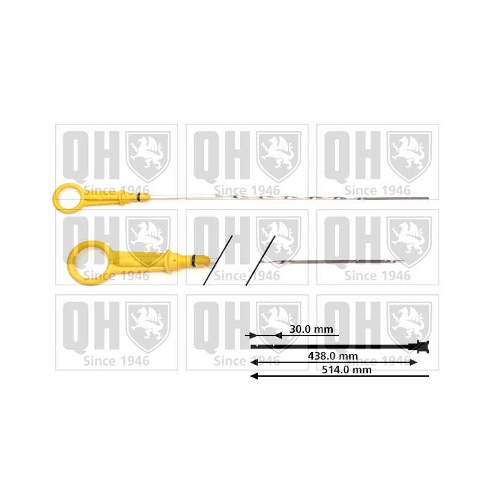 Alyvos lygio matuoklis QUINTON HAZELL QOD155