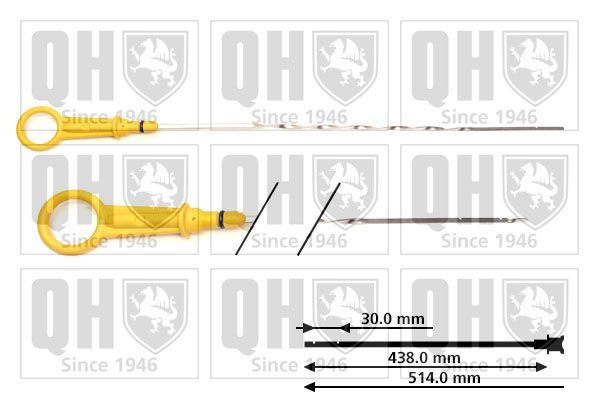 Alyvos lygio matuoklis QUINTON HAZELL QOD155