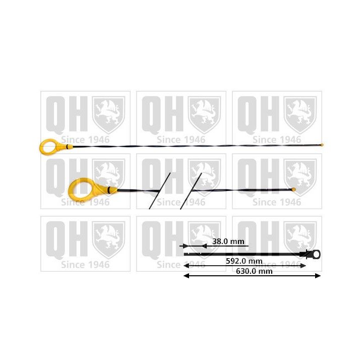 Alyvos lygio matuoklis QUINTON HAZELL QOD162