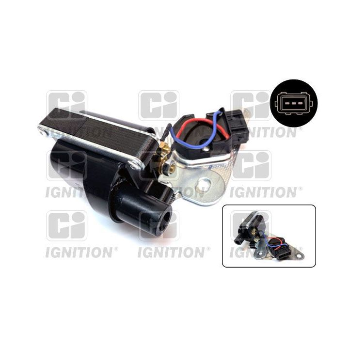 Ritė, uždegimas QUINTON HAZELL XEI120