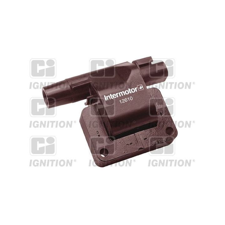 Ritė, uždegimas QUINTON HAZELL XIC8073